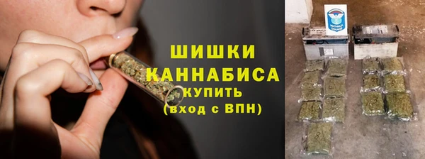 ГАЛЛЮЦИНОГЕННЫЕ ГРИБЫ Алзамай