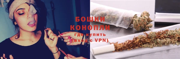 ГАЛЛЮЦИНОГЕННЫЕ ГРИБЫ Абаза