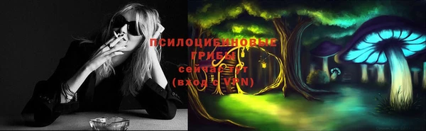 ГАЛЛЮЦИНОГЕННЫЕ ГРИБЫ Алзамай