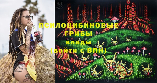 ГАЛЛЮЦИНОГЕННЫЕ ГРИБЫ Абаза