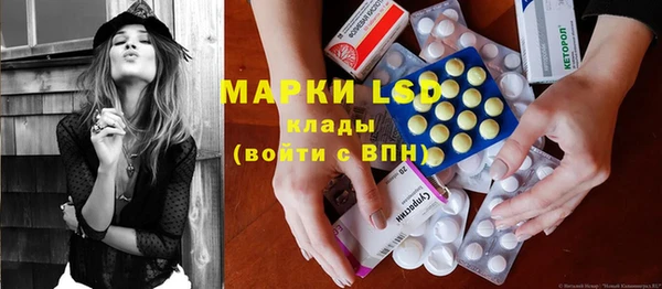 ГАЛЛЮЦИНОГЕННЫЕ ГРИБЫ Абаза