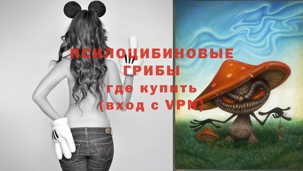 ГАЛЛЮЦИНОГЕННЫЕ ГРИБЫ Алзамай