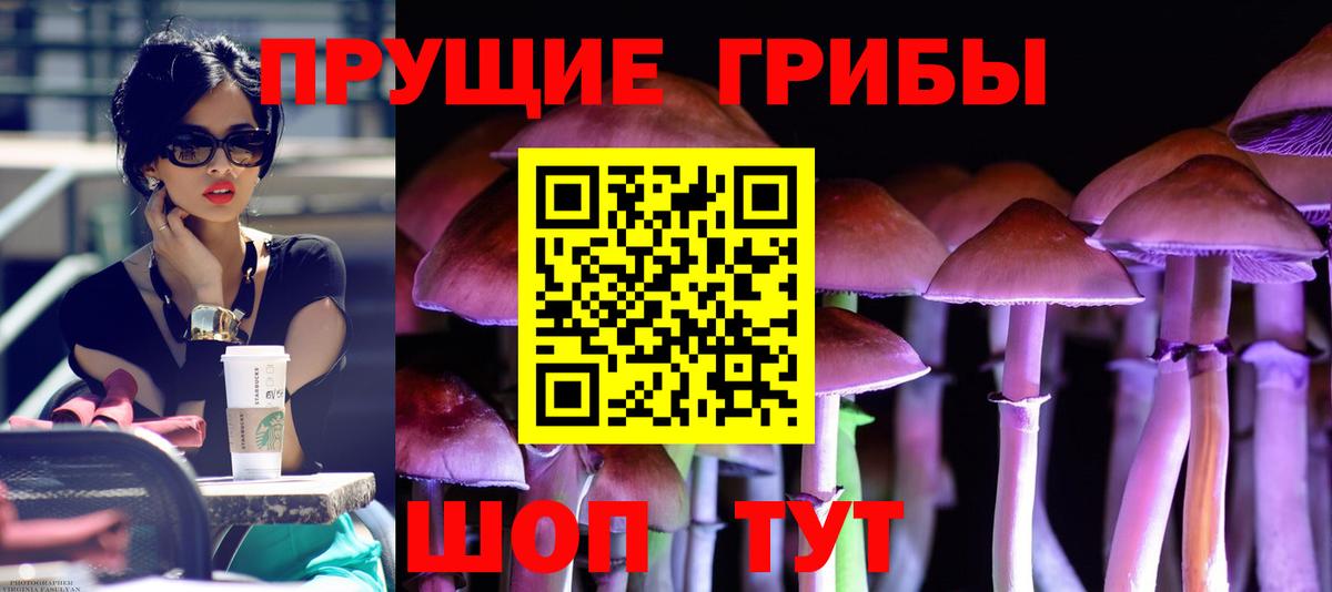 Псилоцибиновые грибы GOLDEN TEACHER  продажа наркотиков  Кохма  Вход с VPN 